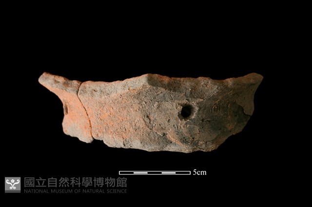 陶片藏品圖，第1張