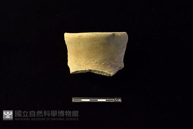 陶罐藏品圖，第1張