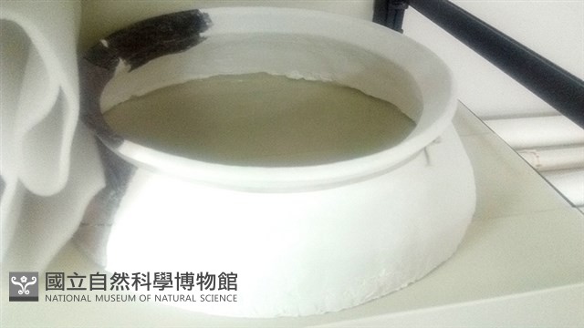 陶罐藏品圖，第1張