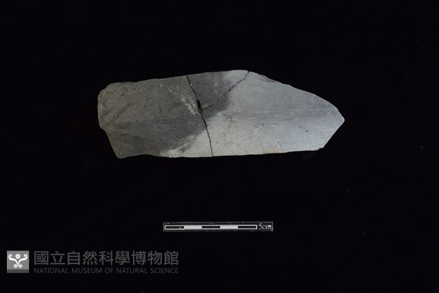陶片藏品圖，第1張