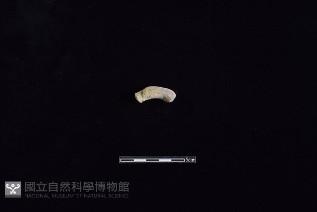 陶把藏品圖，第1張