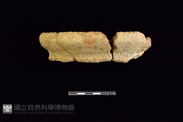 陶罐藏品圖，第1張