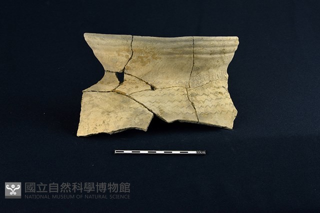 陶罐藏品圖，第1張