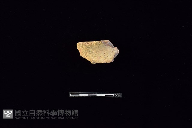 陶片藏品圖，第1張