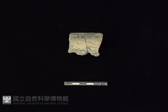 陶罐藏品圖，第1張