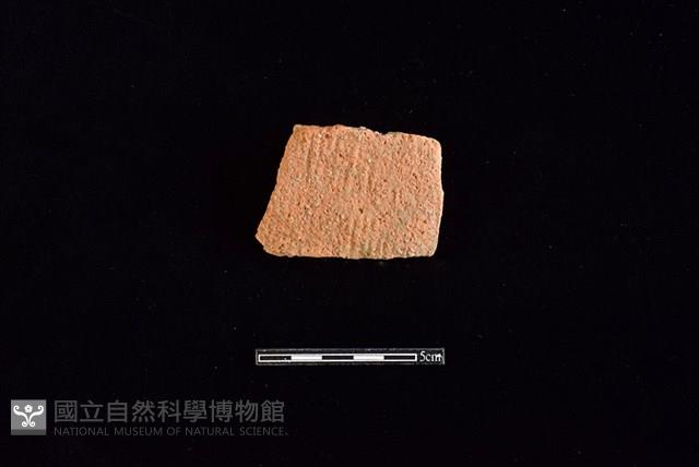 陶片藏品圖，第1張