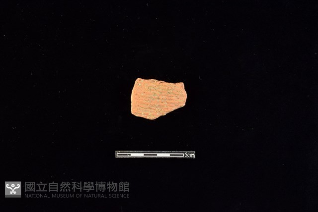 陶片藏品圖，第1張