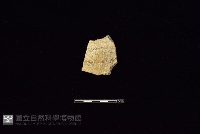 陶片藏品圖，第1張