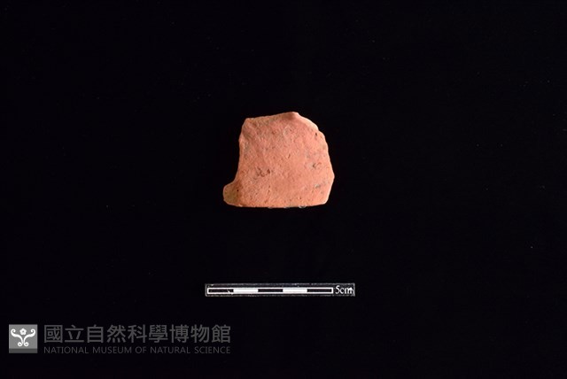 陶片藏品圖，第1張