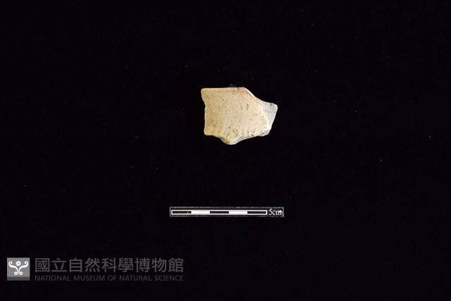 陶罐藏品圖，第1張