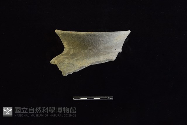 陶罐藏品圖，第1張