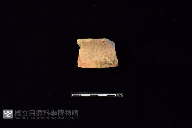 陶片藏品圖，第1張