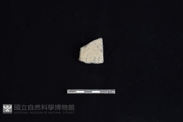 Accession Number:HLL-L-PT0149 Collection Image, Figure 1, Total 2 Figures