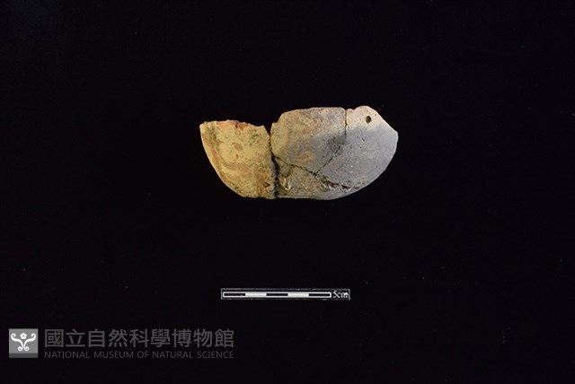 陶缽藏品圖，第1張