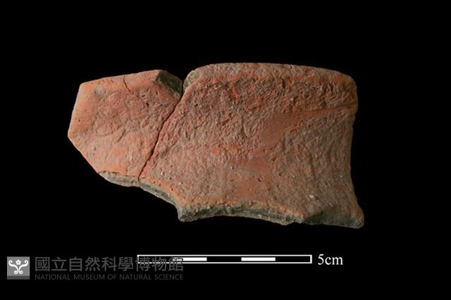 陶罐藏品圖，第1張