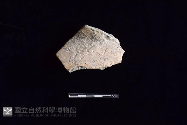 陶罐藏品圖，第1張