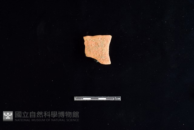陶片藏品圖，第1張