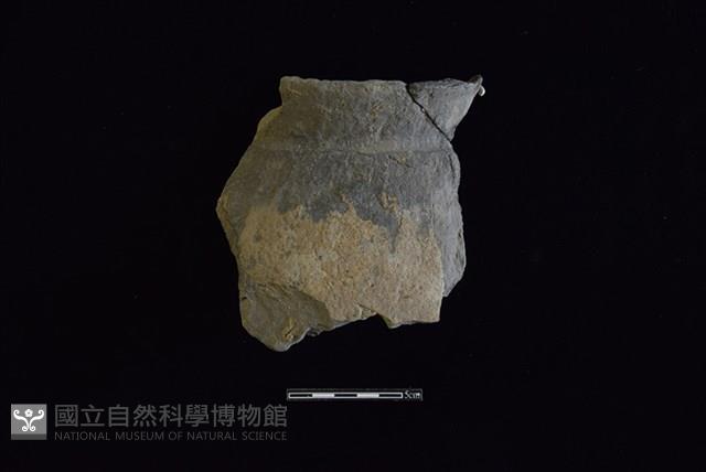 陶罐藏品圖，第1張