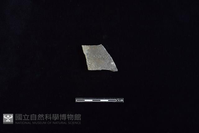 Accession Number:HLL-J PT1449 Collection Image, Figure 1, Total 2 Figures