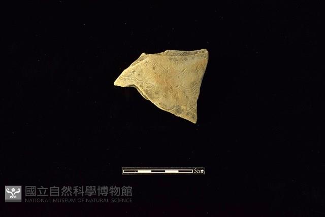 陶罐藏品圖，第1張