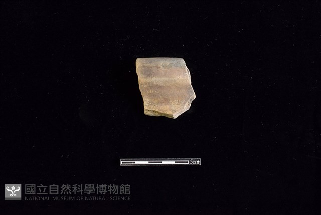 陶罐藏品圖，第1張