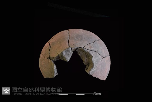 陶片藏品圖，第1張