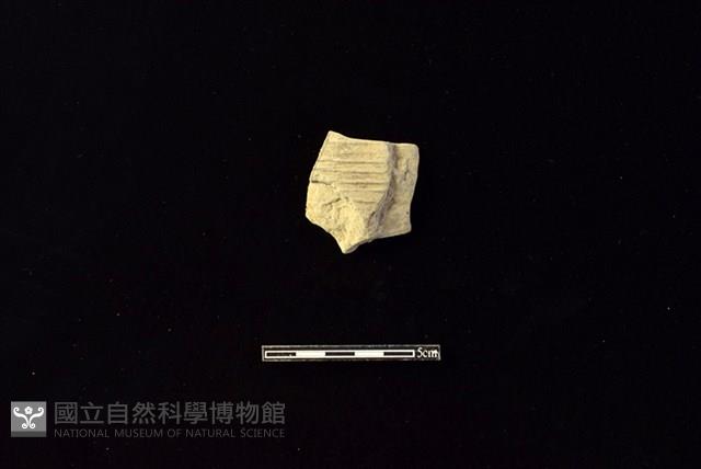 陶片藏品圖，第1張