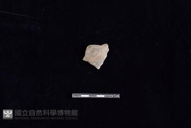 陶片藏品圖，第1張