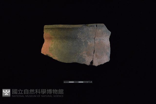 陶罐藏品圖，第1張