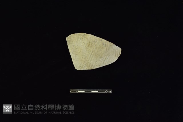 陶片藏品圖，第1張