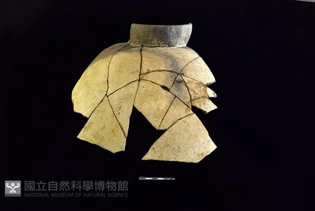 陶罐藏品圖，第1張