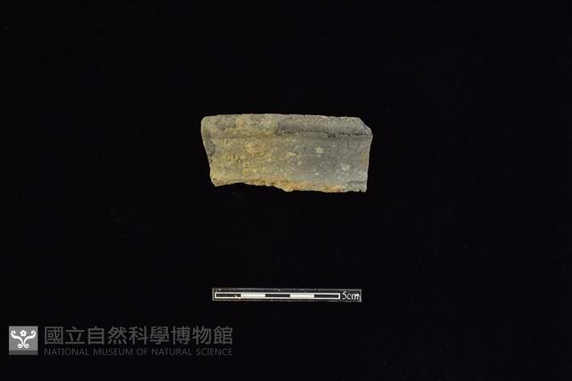 陶罐藏品圖，第1張