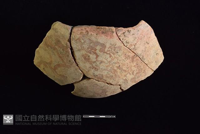 陶片藏品圖，第1張