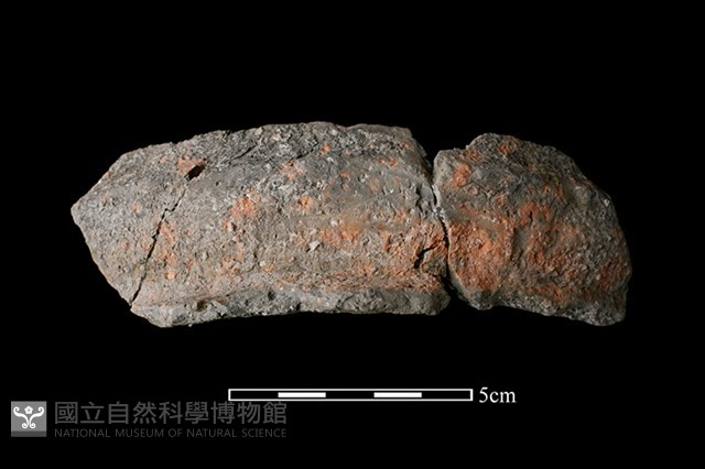 陶罐藏品圖，第1張