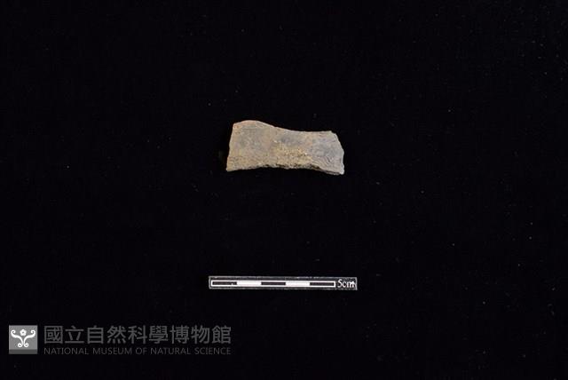 陶片藏品圖，第1張