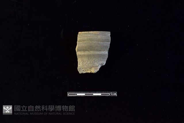 陶罐藏品圖，第1張
