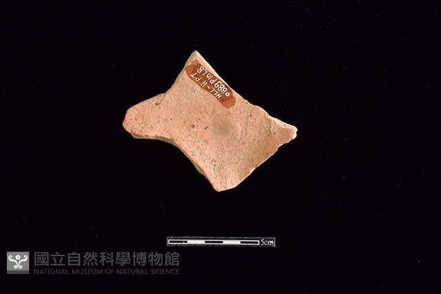連杯形器藏品圖，第1張