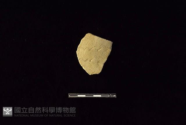 陶片藏品圖，第1張