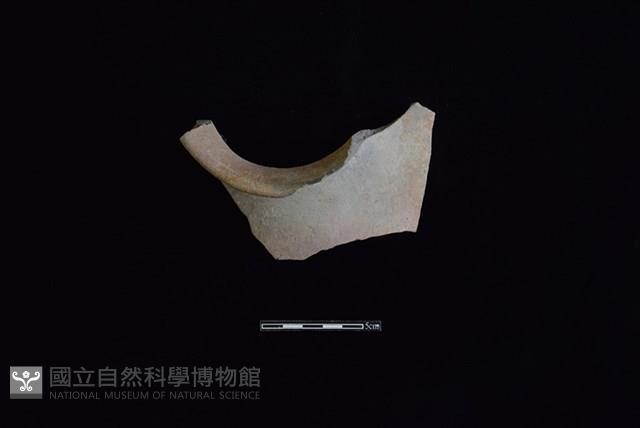 陶罐藏品圖，第1張