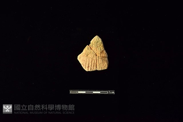 陶片藏品圖，第1張