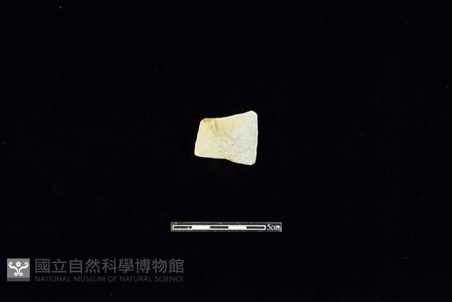 陶片藏品圖，第1張