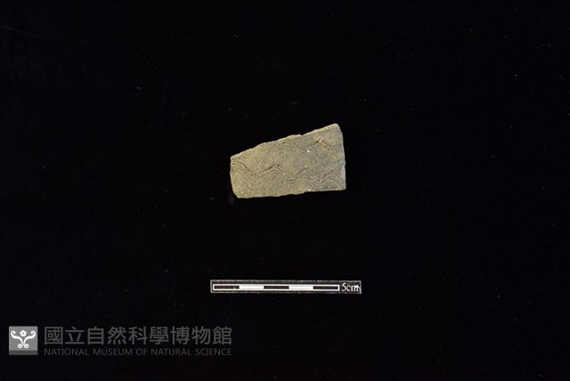 陶片藏品圖，第1張
