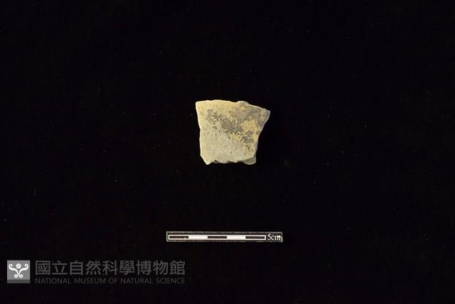 陶片藏品圖，第1張