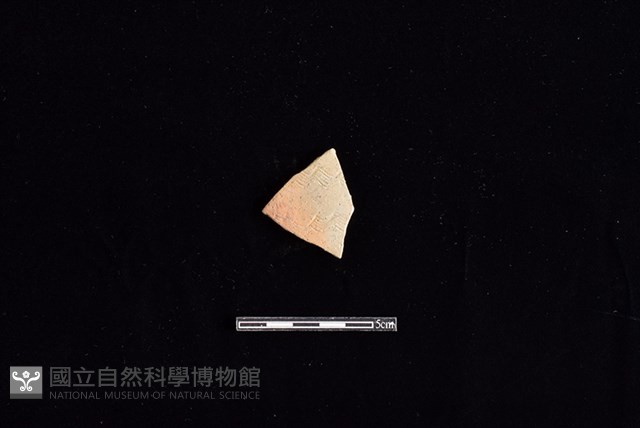 陶片藏品圖，第1張