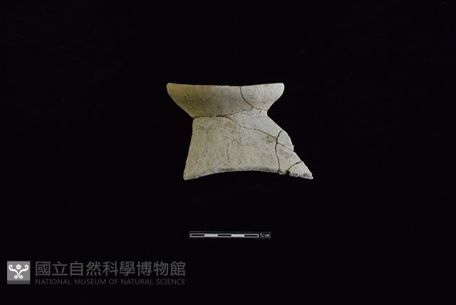 陶罐藏品圖，第1張