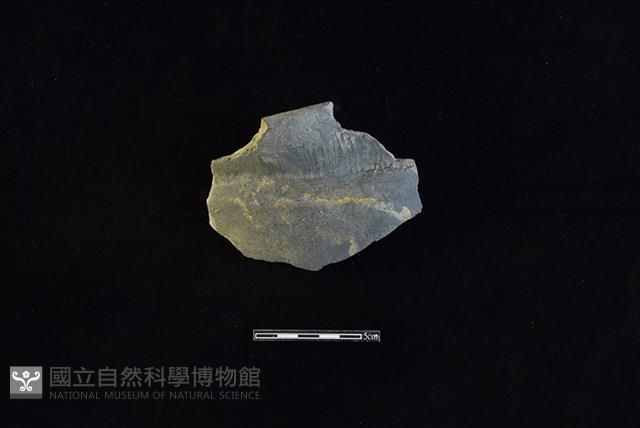 陶罐藏品圖，第1張