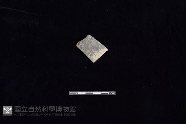 陶片藏品圖，第1張