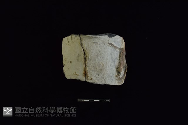 陶片藏品圖，第1張