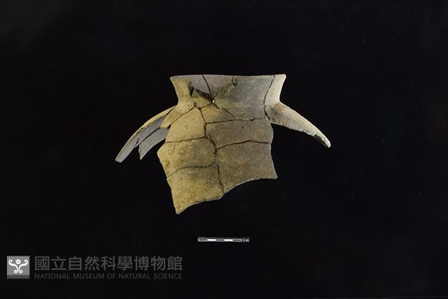 陶罐藏品圖，第1張