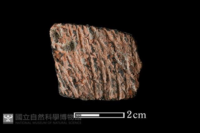 陶片藏品圖，第1張